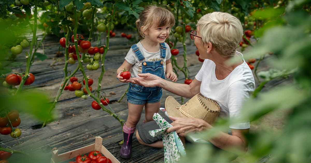 Estate Planning Essentials: A Guide | Morgan Stanley