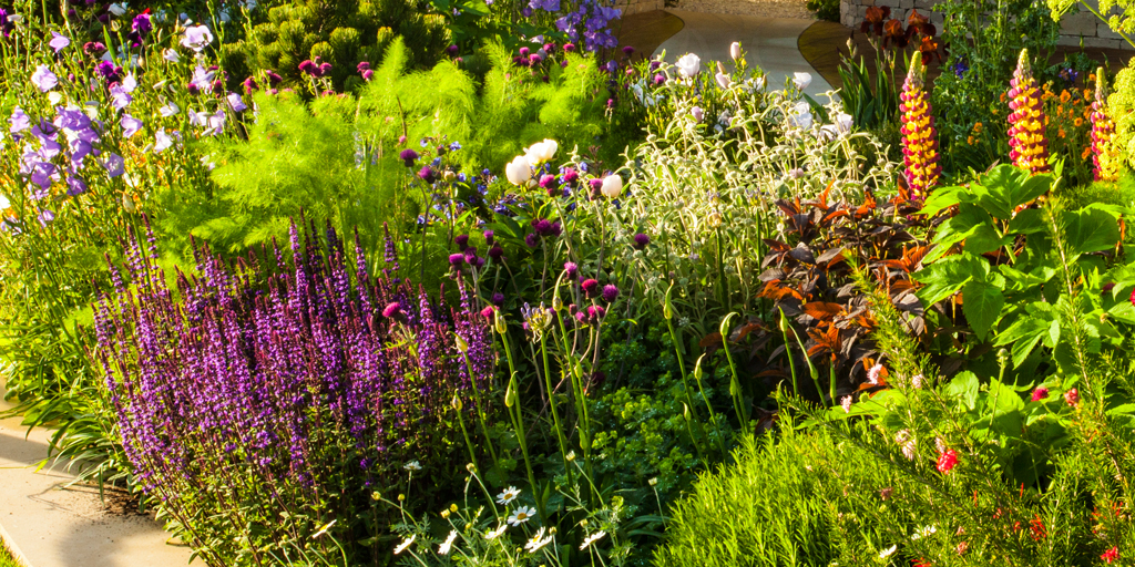 Chelsea Flower Show 2017 Plants | Morgan Stanley